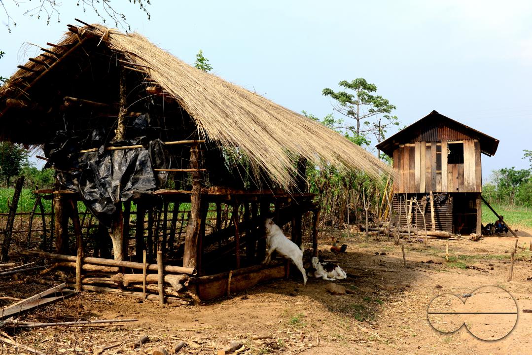 Totos are one of the most primitive communities in the world and this isolated tribal group resides only in Totopara at the foot of the Himalayas just to the borderline between West Bengal and Bhutan