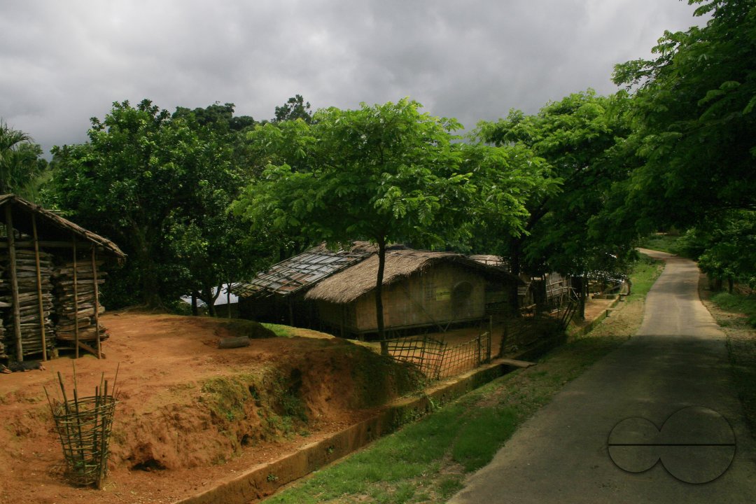 MWC012556