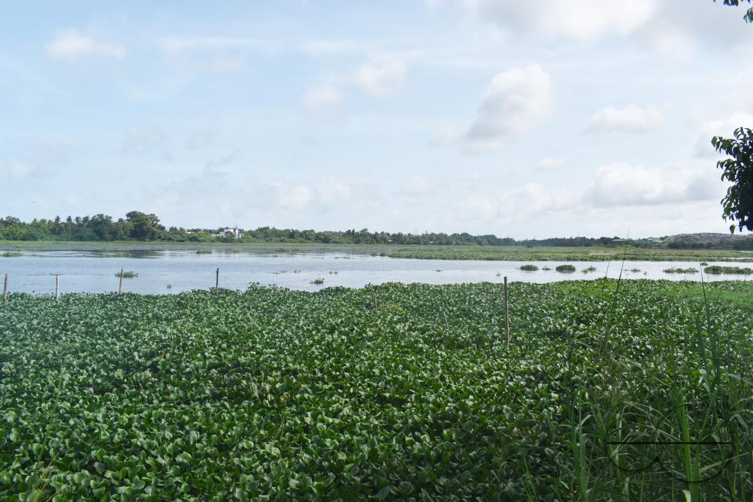 MWC049293