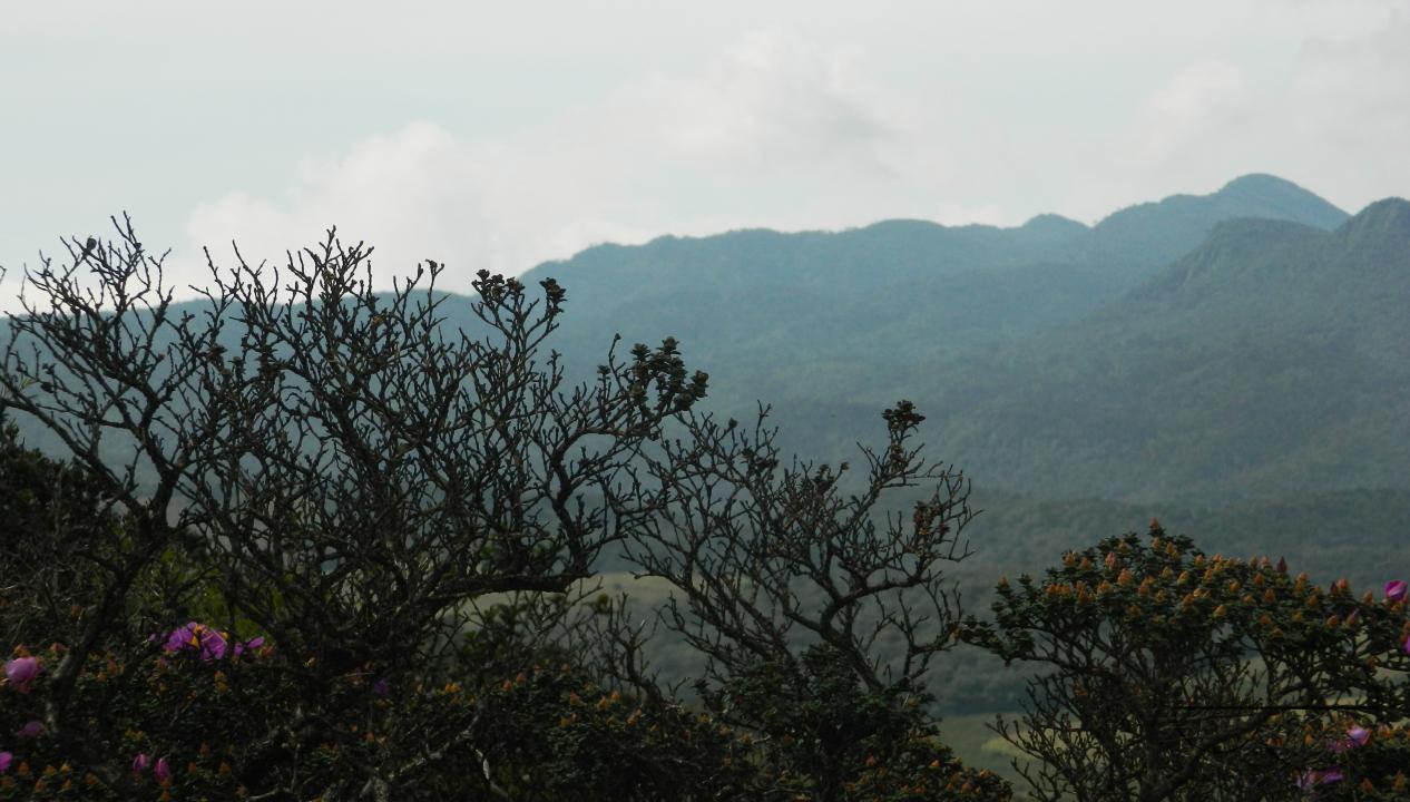 MWC052363