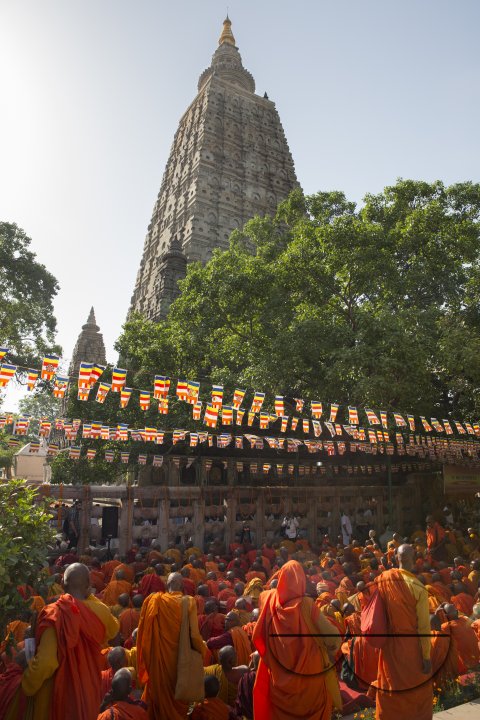 MWC024395