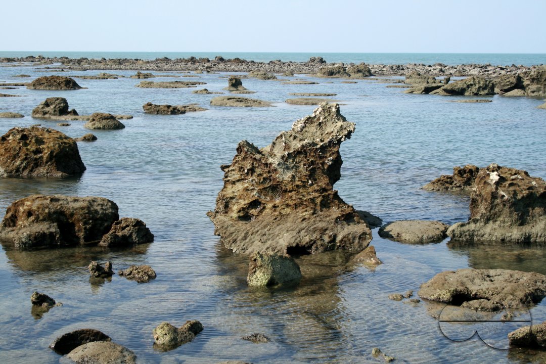 MWC004268