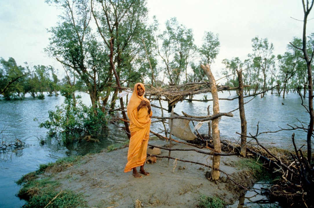 MWC009038