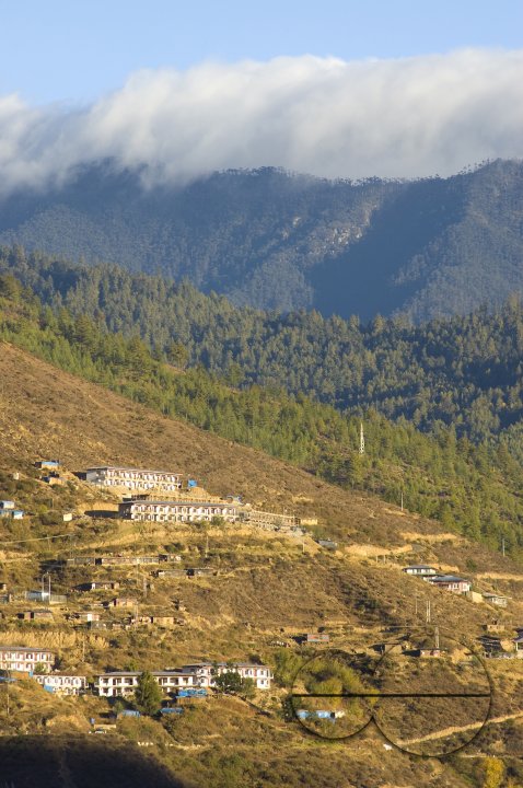 MWC012781