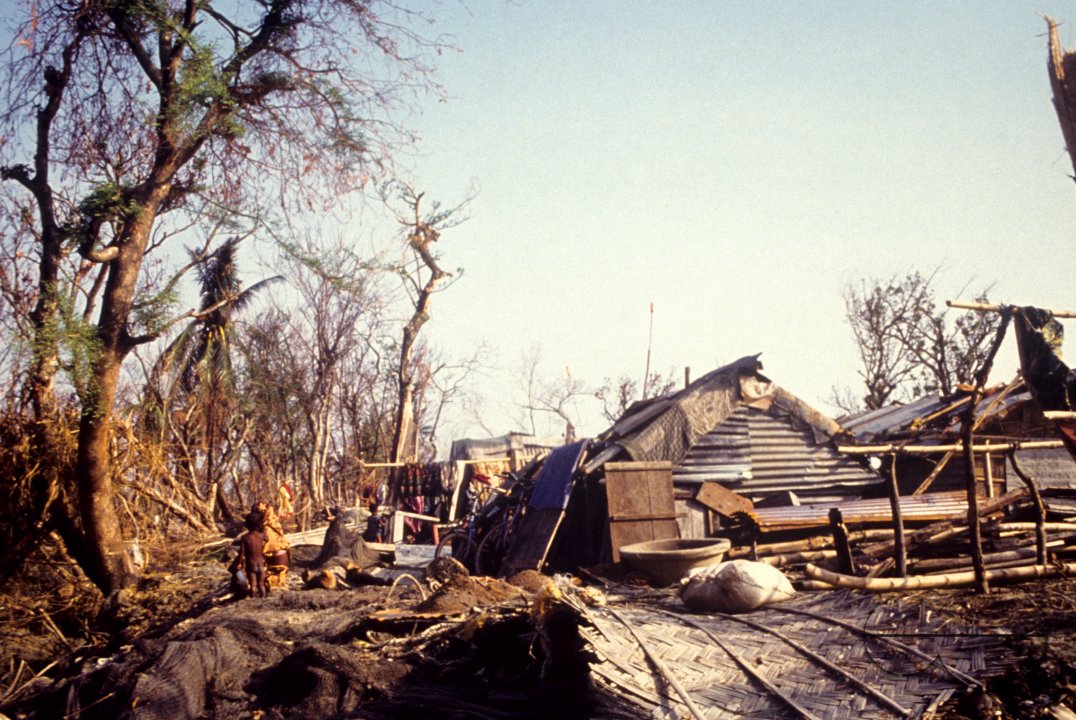 MWC004459