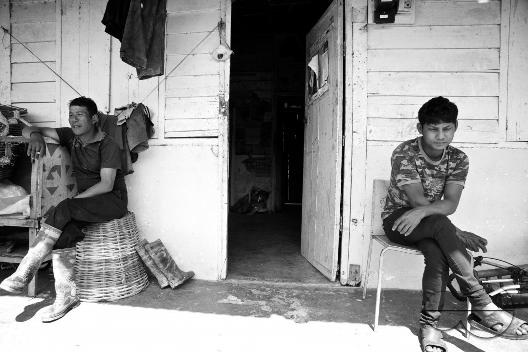 Migrants in Malaysia's tea estates