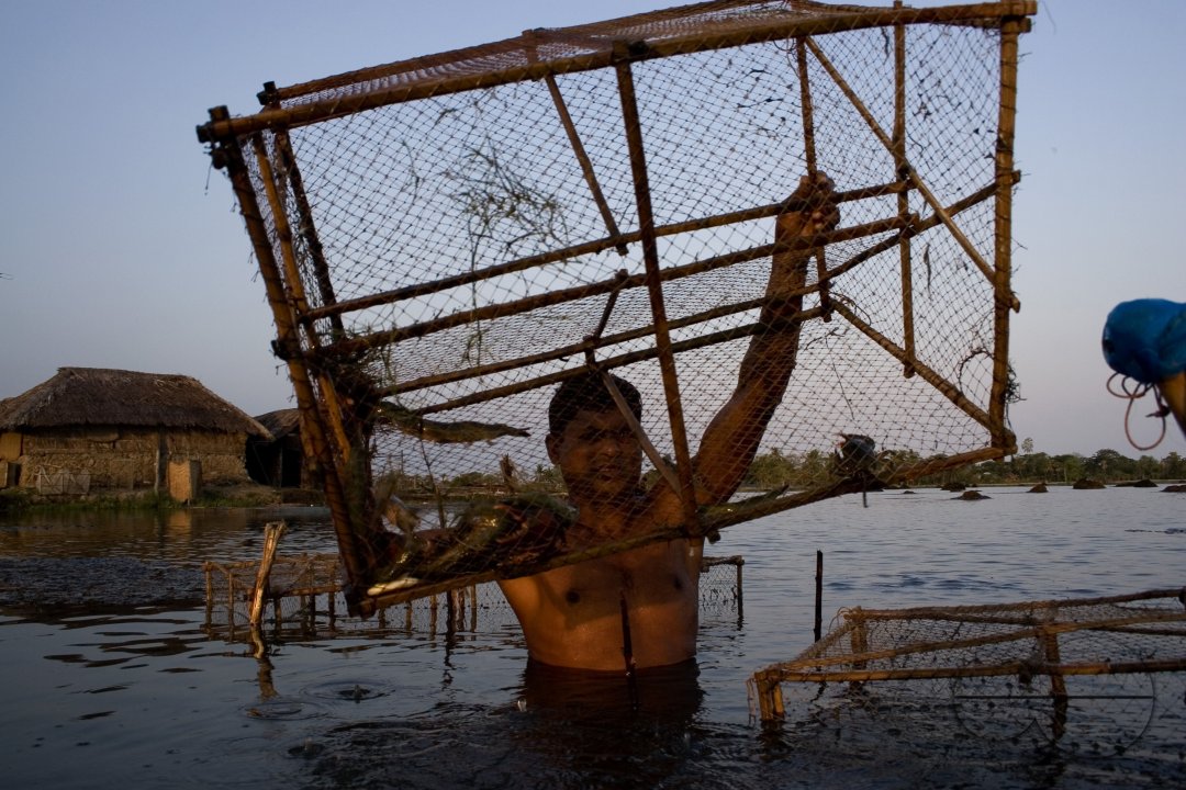 Palanquin_Bangladesh
