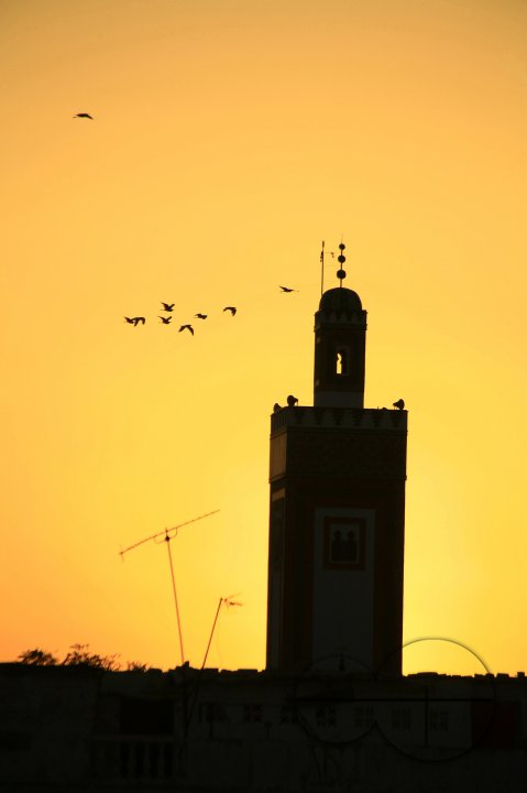 A flock of birds over a mosque at sunrise, in Fez, Morocco. October 3, 2006.
