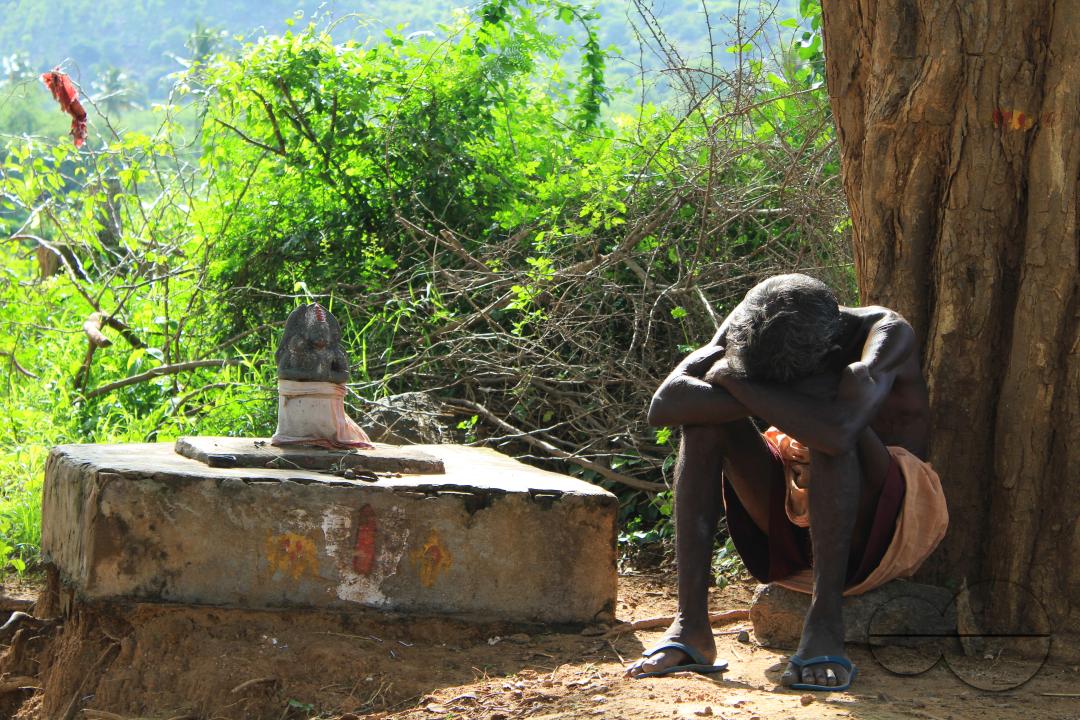 MWC045324