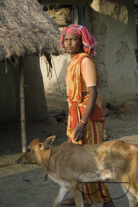 Village_Bangladesh