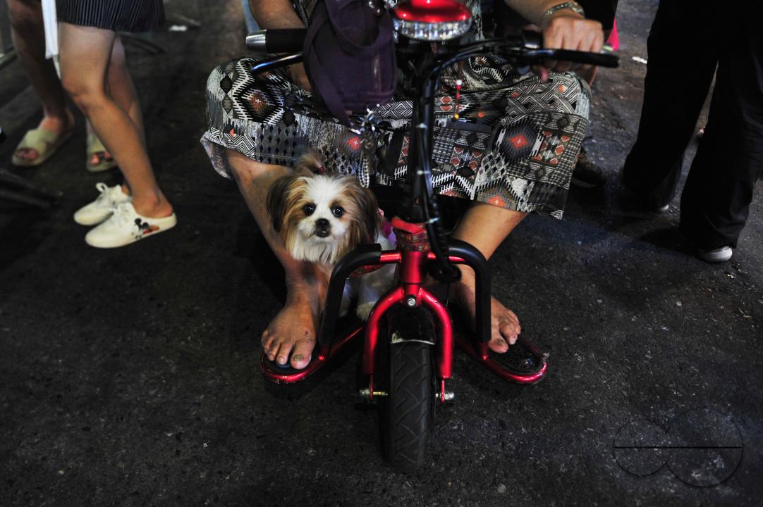 Chinatown in Bangkok is one of the largest Chinatowns in the world, and is renowned for its incredible shopping and tantalizing cuisine