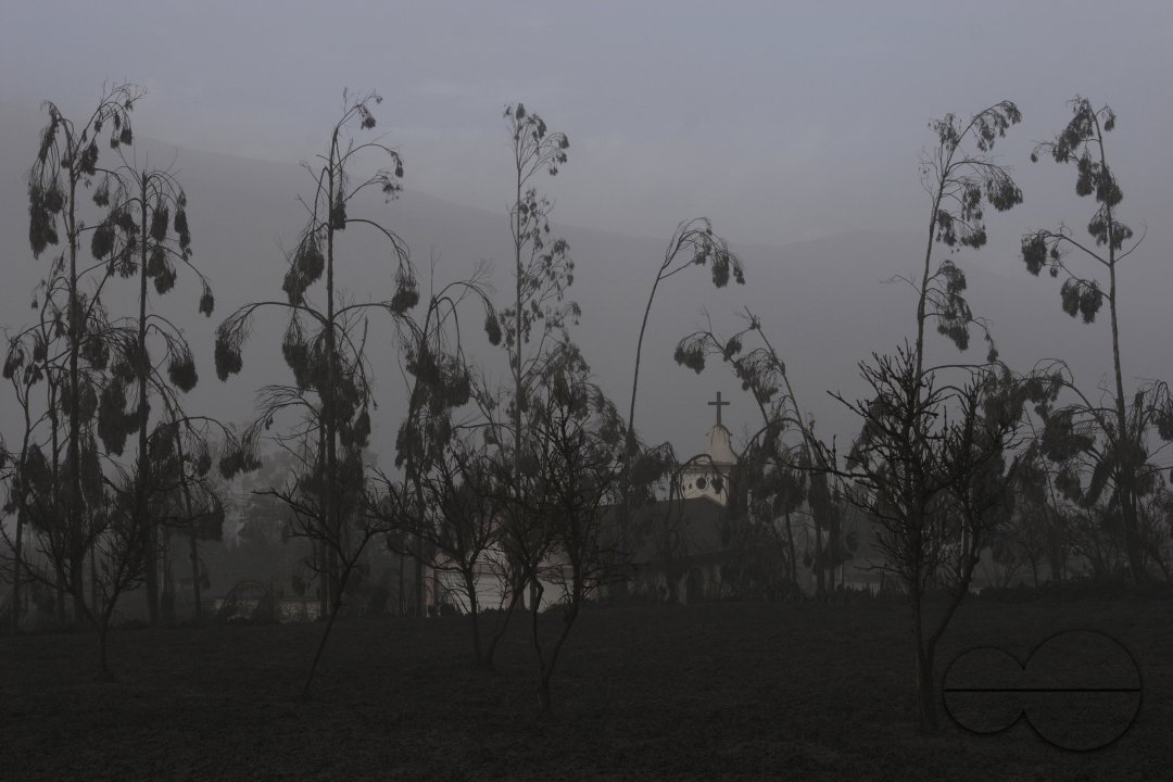 MWC004535