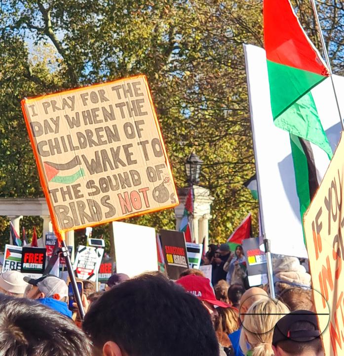 Over 300,000 Pro-Palestinians marched from Hyde Park to the USA embassy in London, on the afternoon of 11th November 2023, protesting against the war and urging an immediateÂ ceasefire