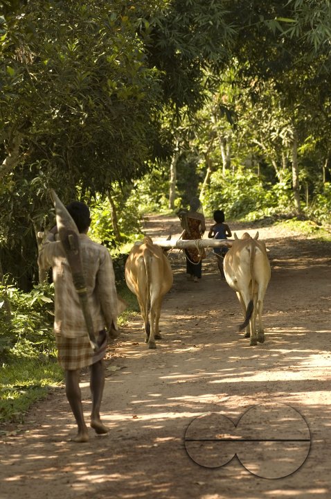 MWC002296