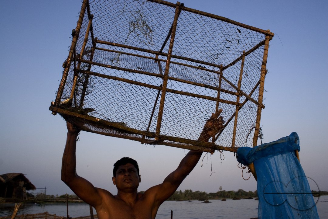 Palanquin_Bangladesh