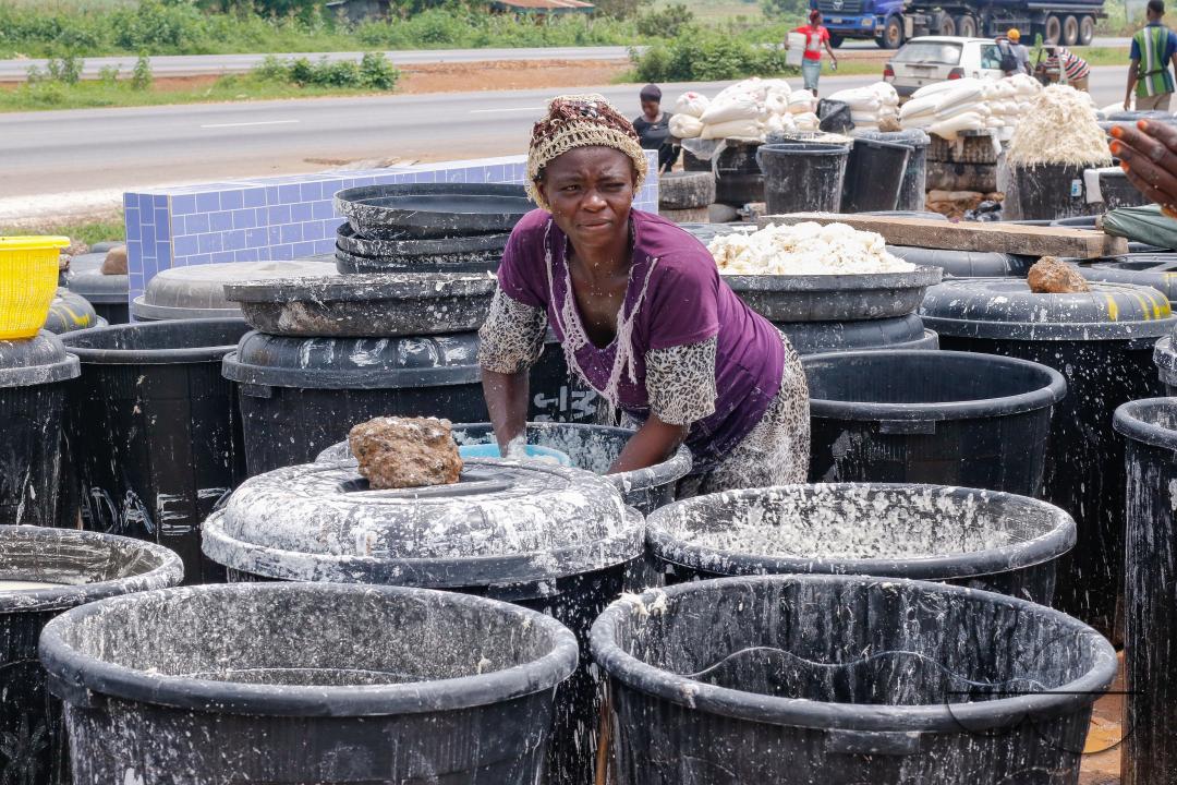 Females in Abuja are struggling and making strides in a local cassava processing factory under difficult conditions to produce flour as they wash out chaff from fermented cassava