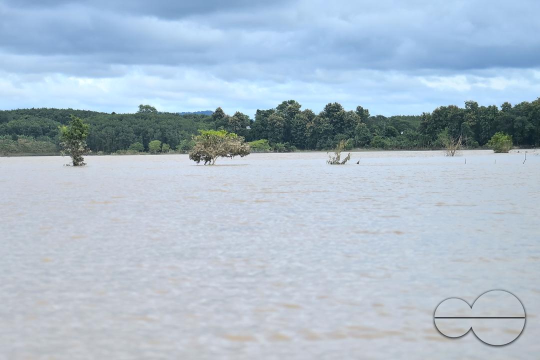 An agricultural field immersed in flooded water, outskirts of Amarpur city, 82km away from Agartala