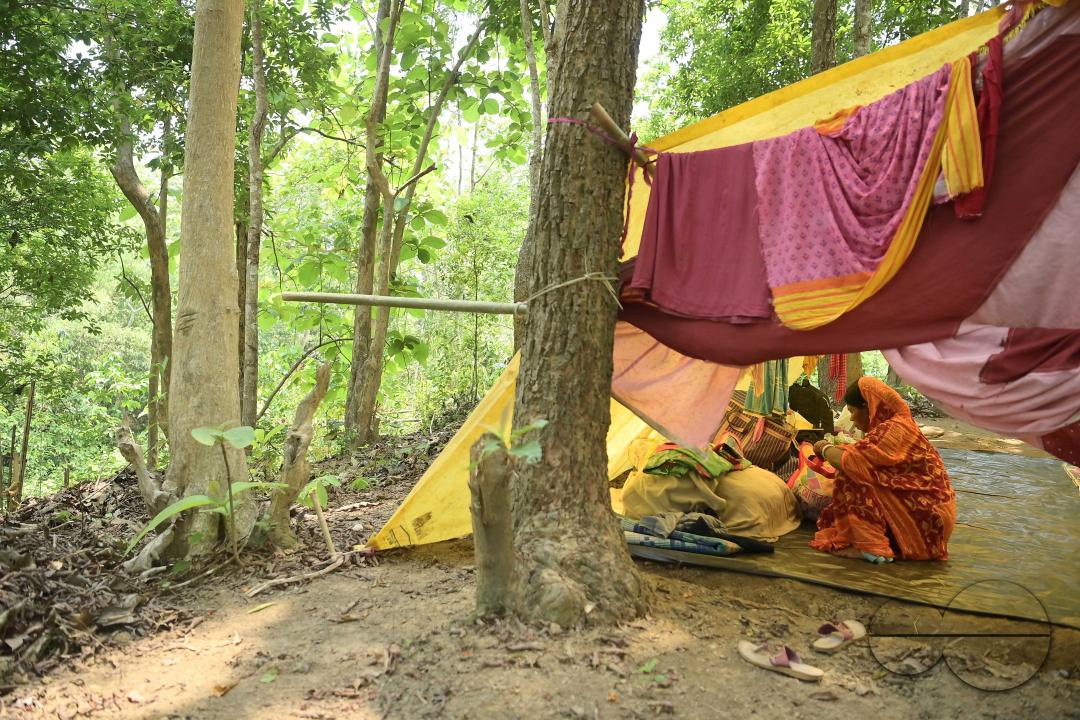 People in makeshift tents at Panisagar's reserve forest area