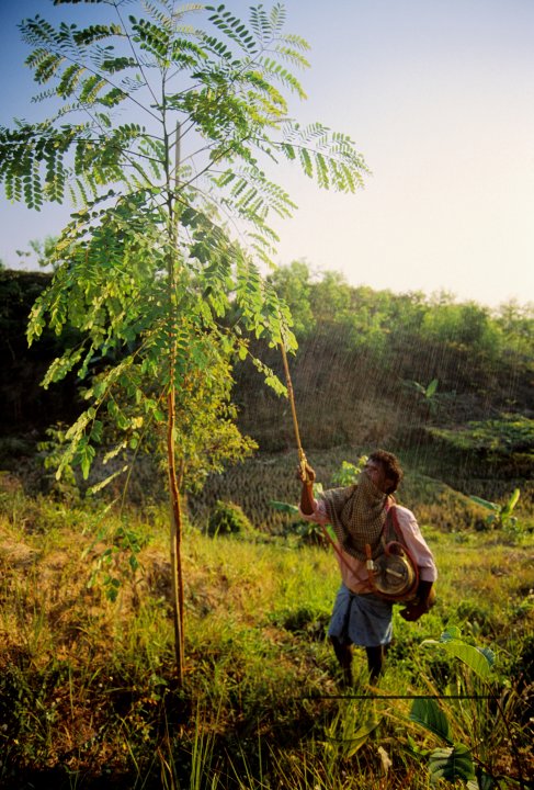 MWC002868