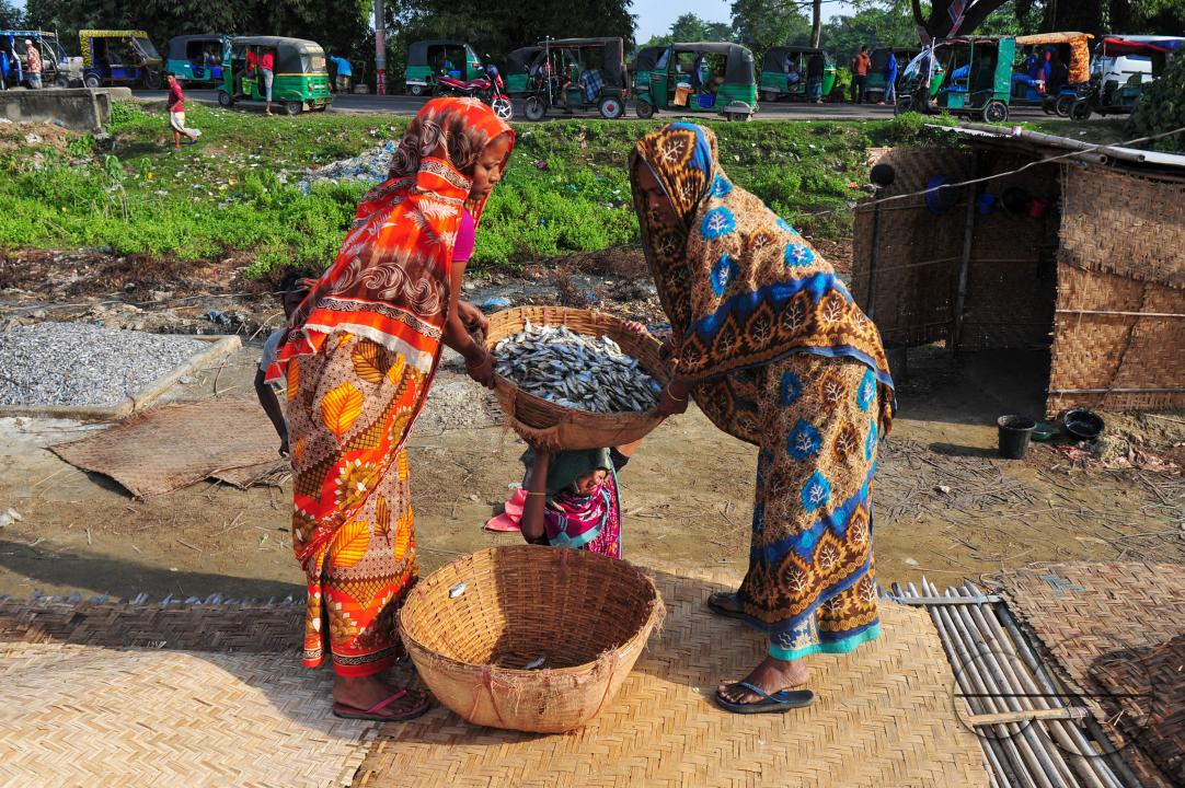 Workers are busy processing dried fish at the Lama Kazi area of Sylhet