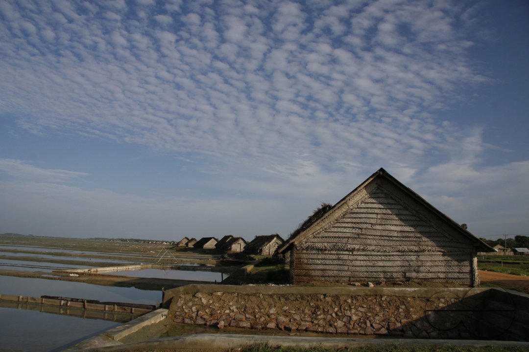 MWC009404