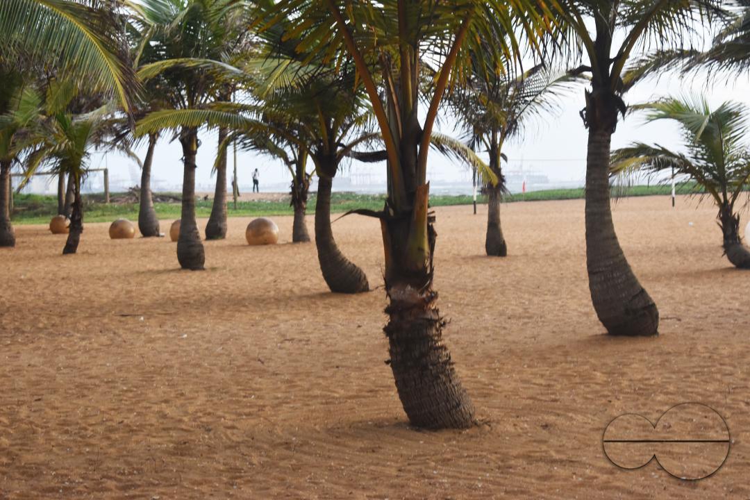 MWC051012