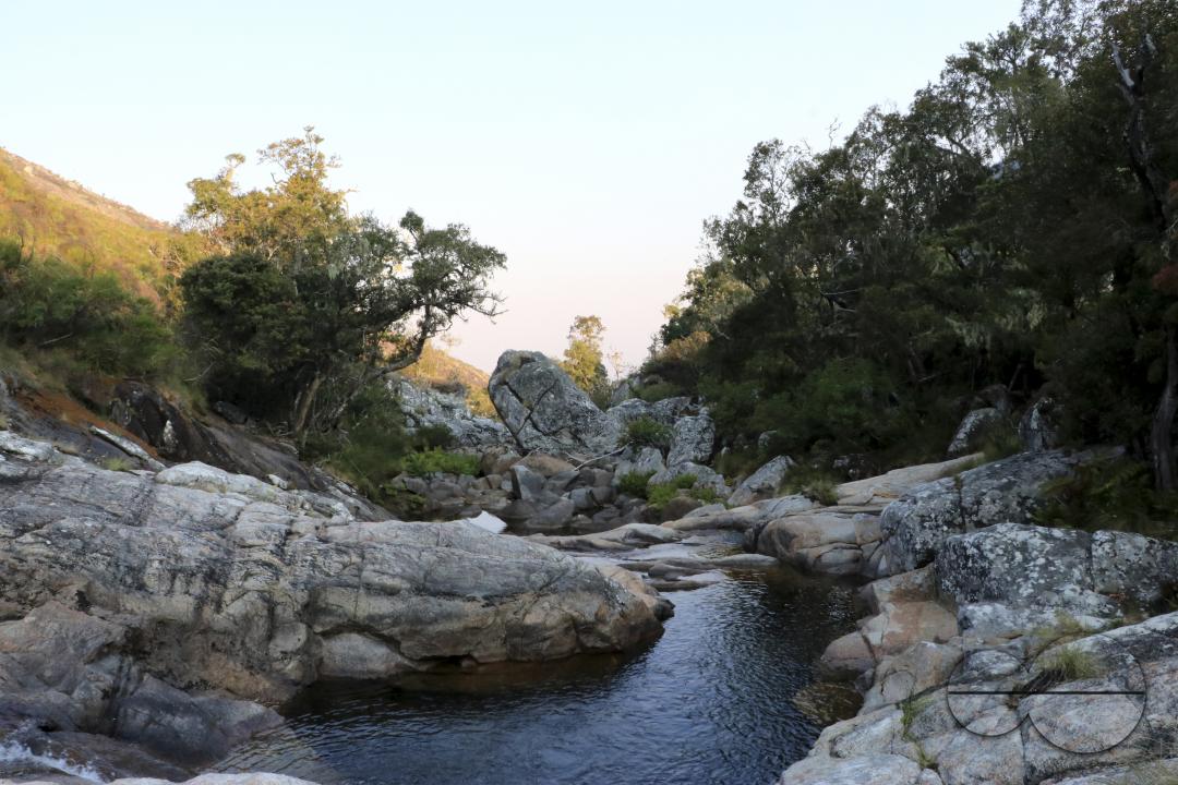 MWC045503