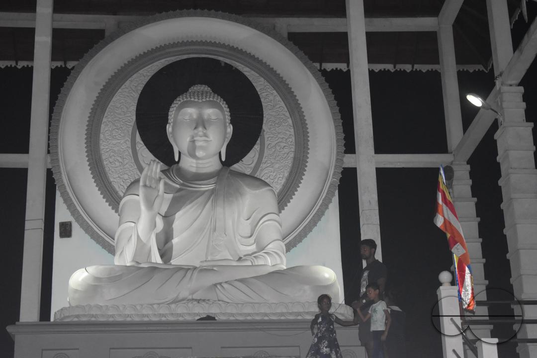 MWC048238