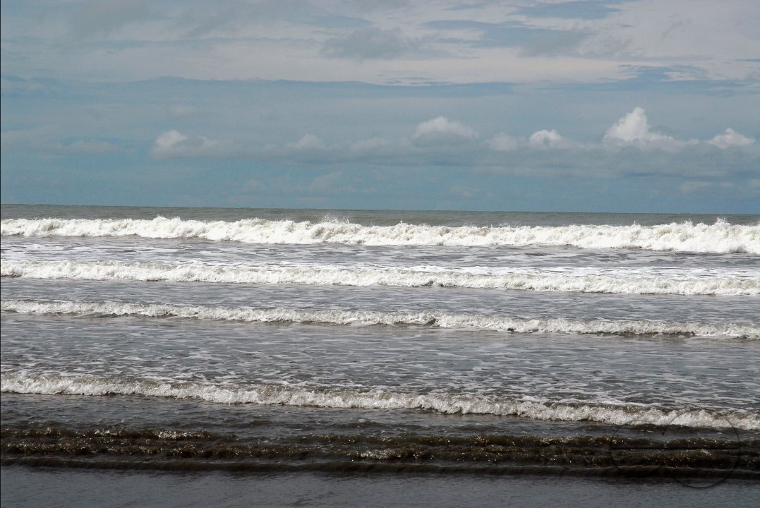 MWC004171