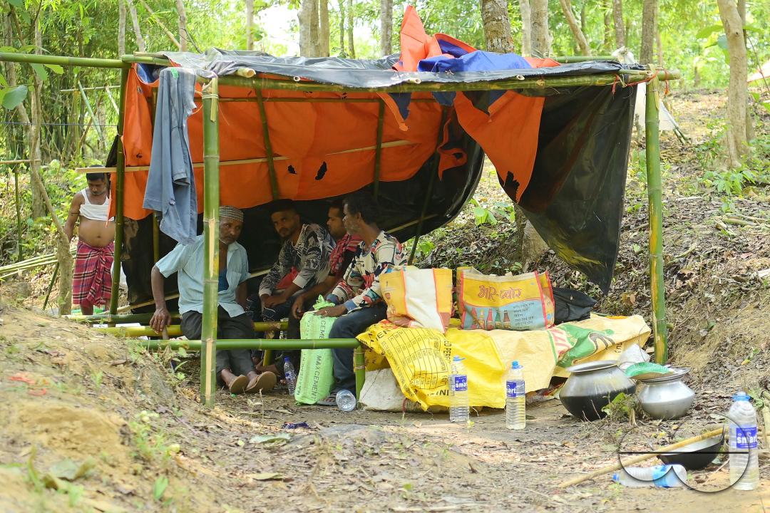 People in makeshift tents at Panisagar's reserve forest area