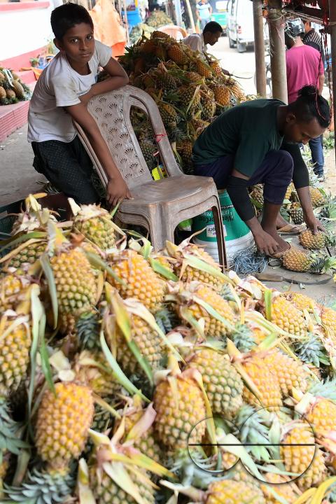 A vendor in Agartala sells fresh pineapples, a renowned summer fruit from Tripura, at a bustling roadside fruit market