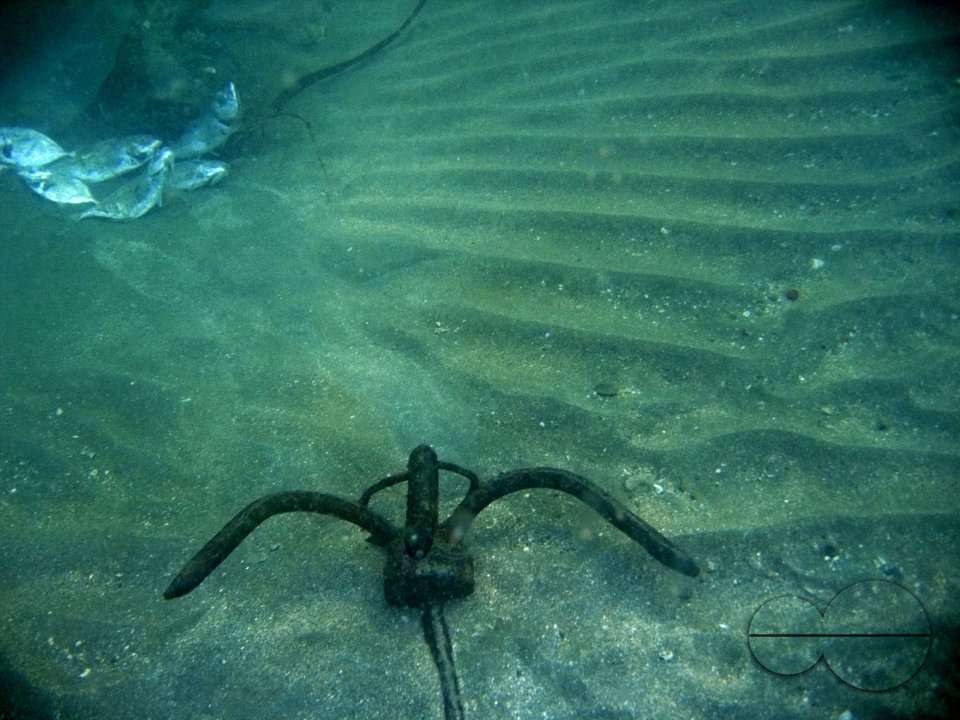 Looking through Fish-Eyes