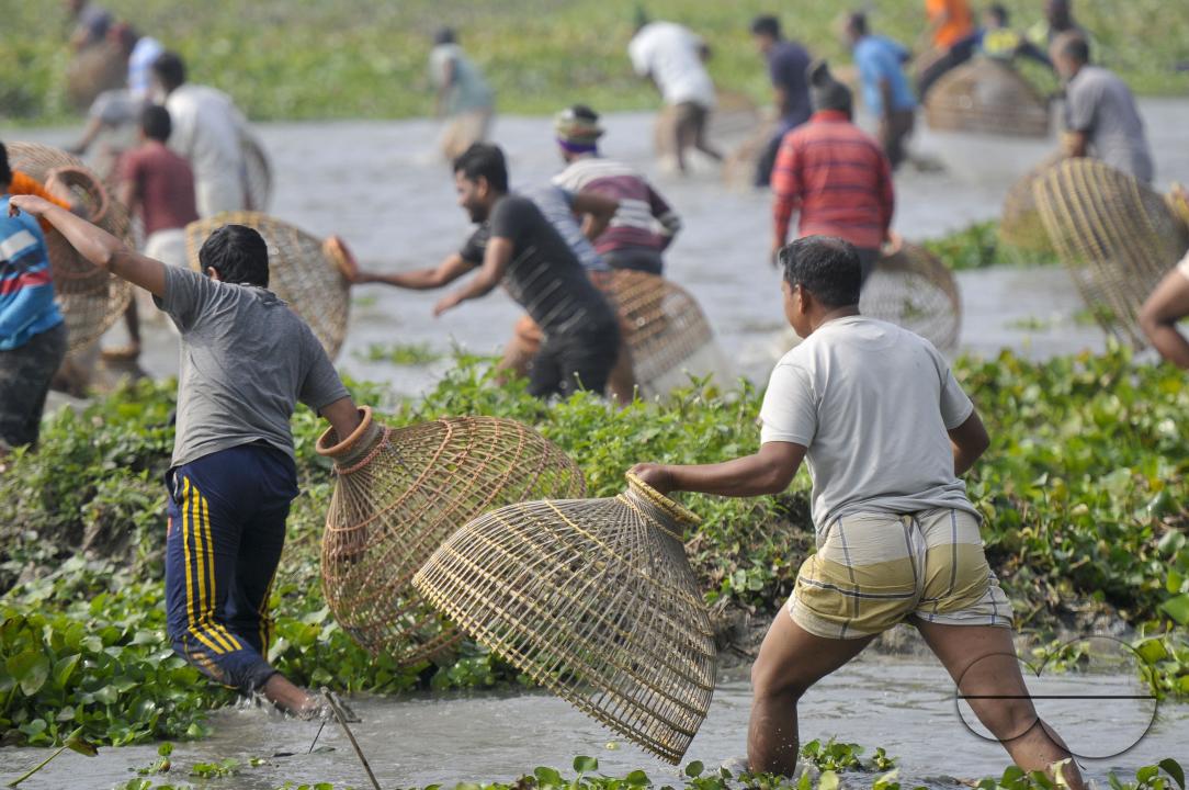 Rural people armed with Bamboo fish traps and handmade fishing nets take part in celebrating in a 100-year winter polo bawa fishing festival at the Gowahori beel of Biswanath upazila in Sylhet