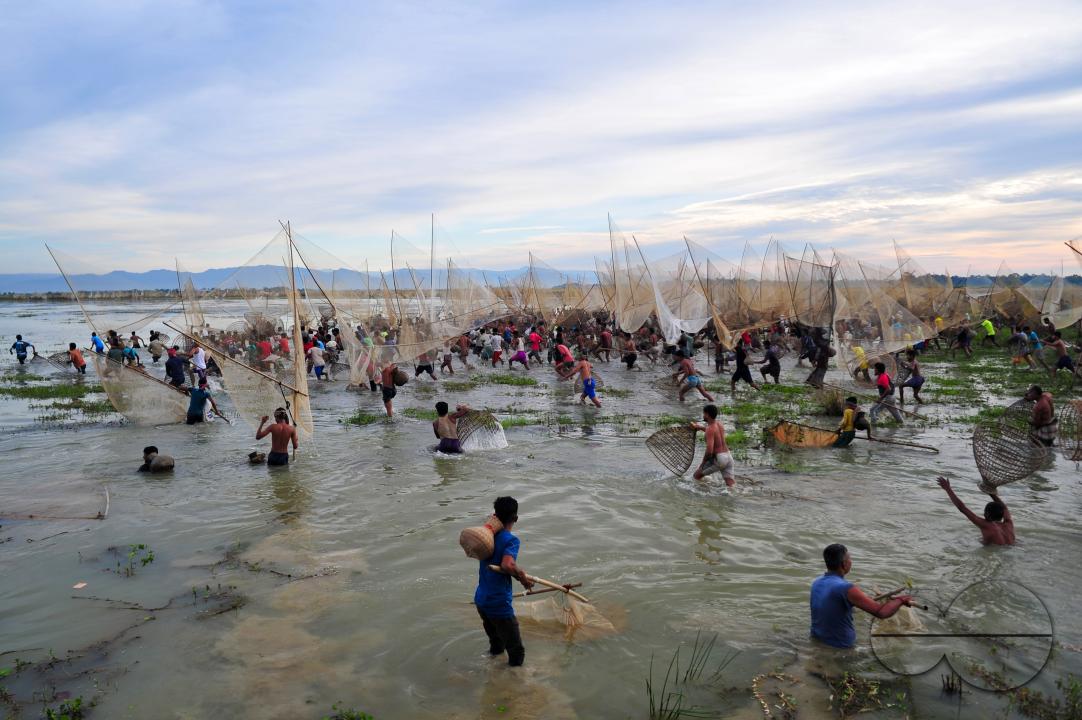 Rural people armed with Bamboo fish traps and nets take part in celebrating a 200-year winter fishing festival at the jofra beel of gasbari union of Kanaighat upazila of Sylhet, Bangladesh.