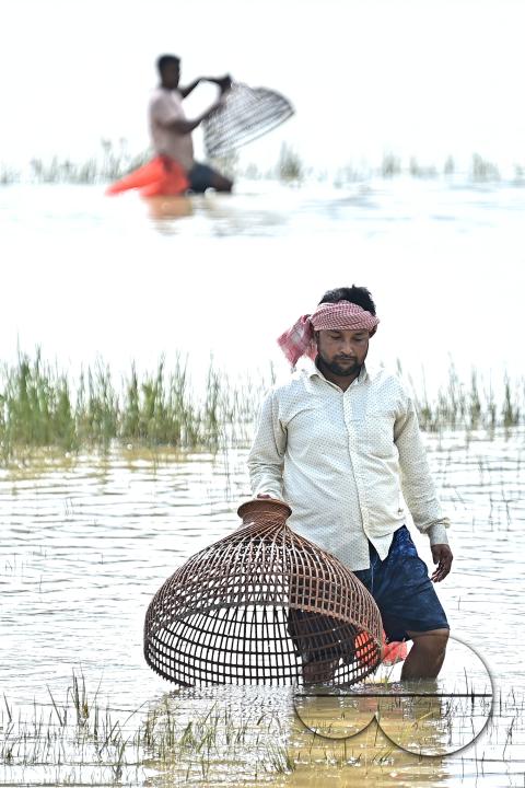 People fishing in a flooded agricultural field using traditional fishing methods in Bishalgarh, 17km away from Agartala