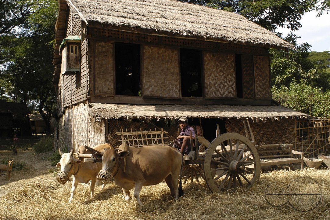MWC009874